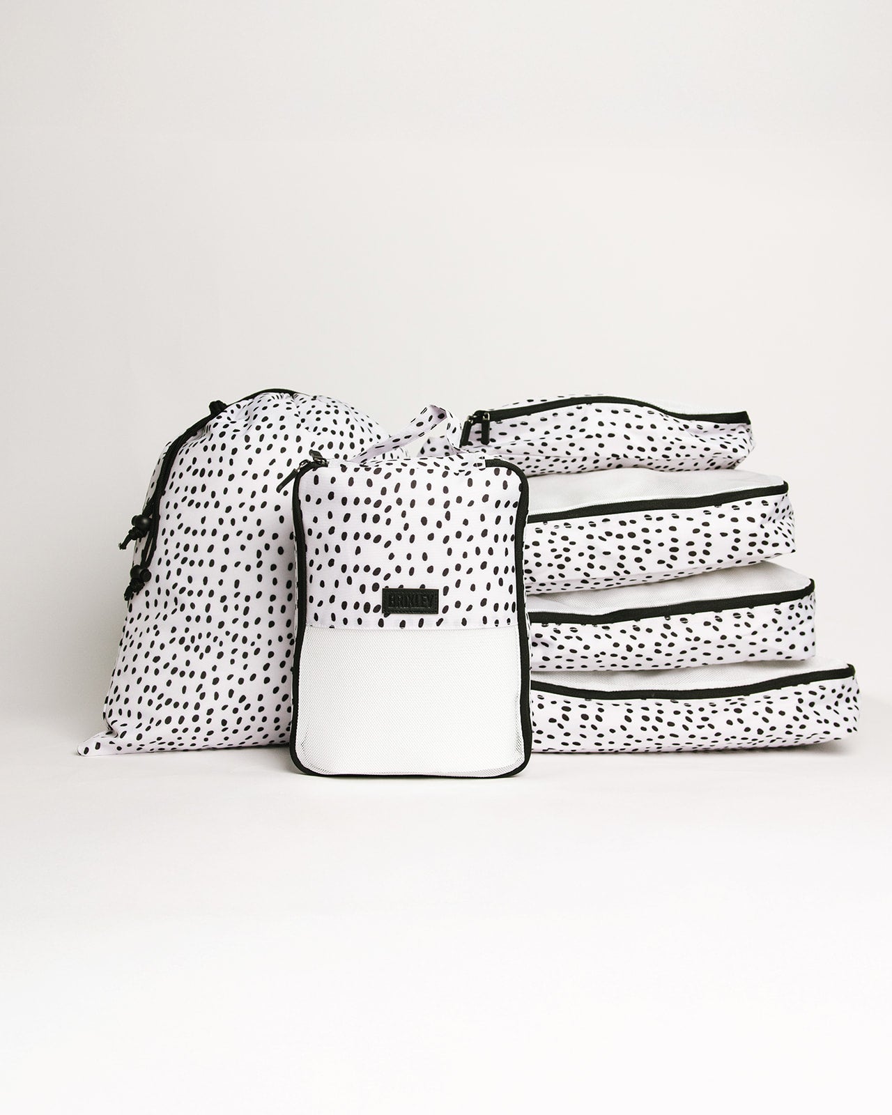 Dalmatian